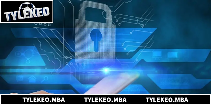 Chính sách bảo mật bảo vệ dữ liệu và quyền riêng tư tối đa